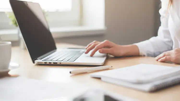 Arbeitgeber Lexware Neuerungen Juli 2025